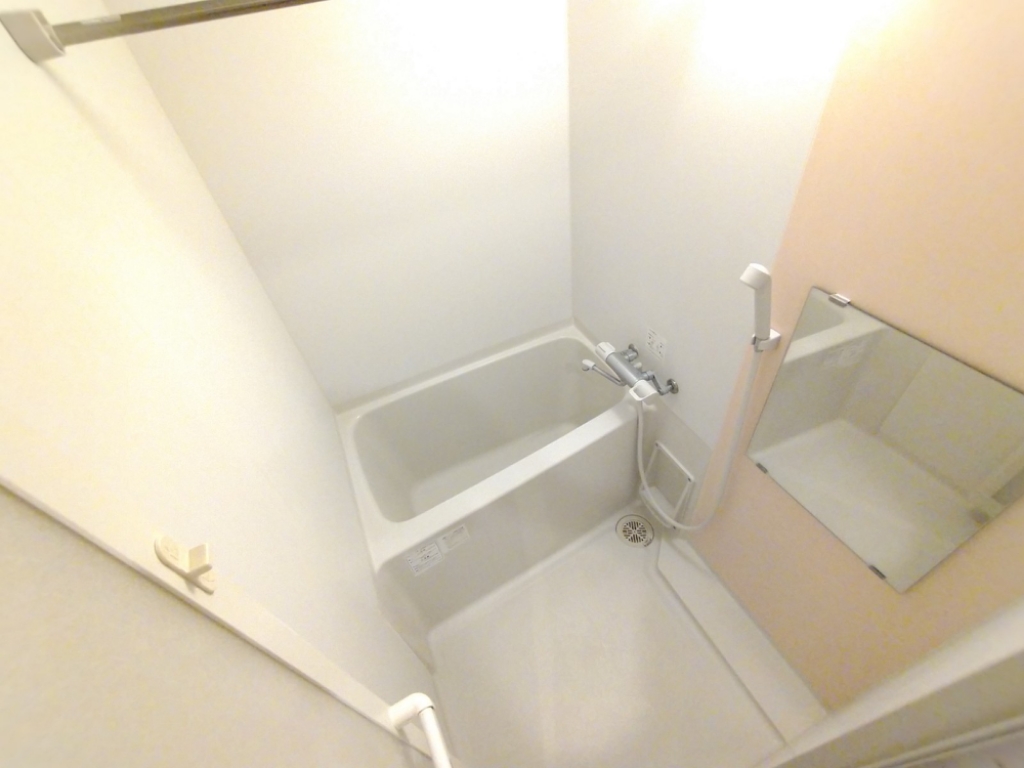 レオネクストプレミアム代々木 風呂画像