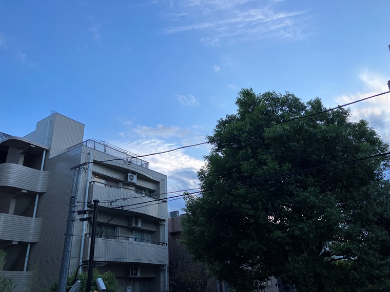 オープンレジデンシア千駄木 その他8