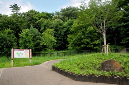 杉並区和泉2丁目戸建 周辺画像9