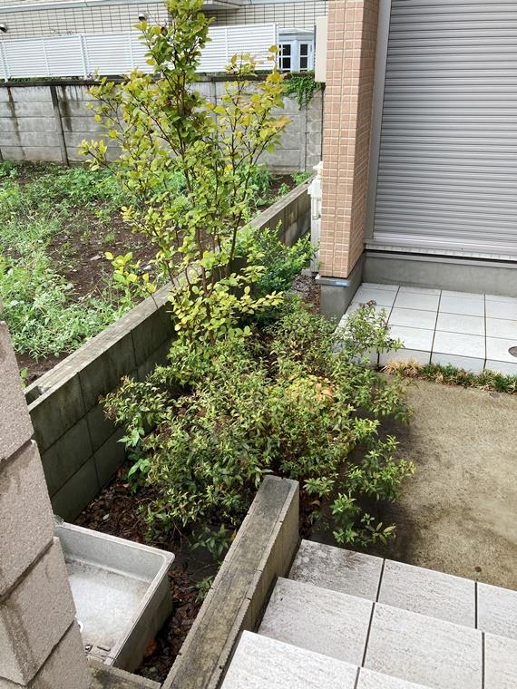 松原戸建 その他6