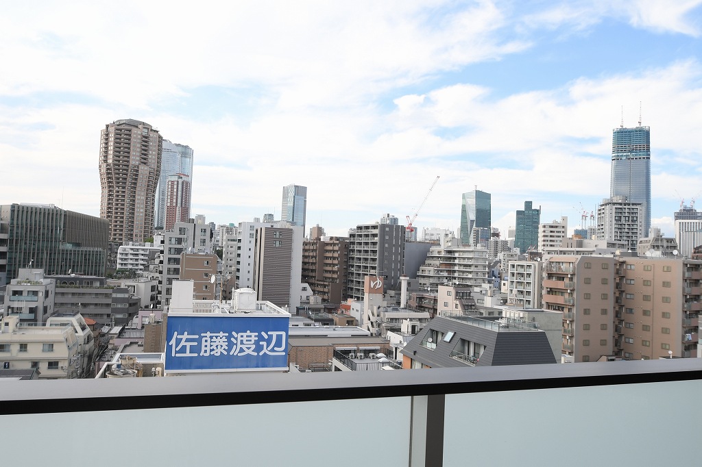 ＬＯＶＩＥ麻布十番 その他17