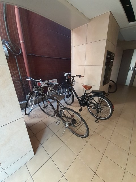 ＴＲ白金 その他5