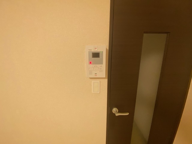 レオネクストラピス　オリゾン その他15