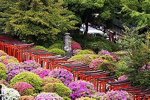 ｶﾃﾘｰﾅ千駄木 周辺画像2