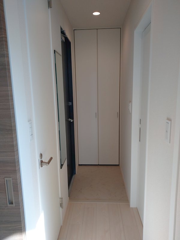 ジェミニ・サウス  玄関