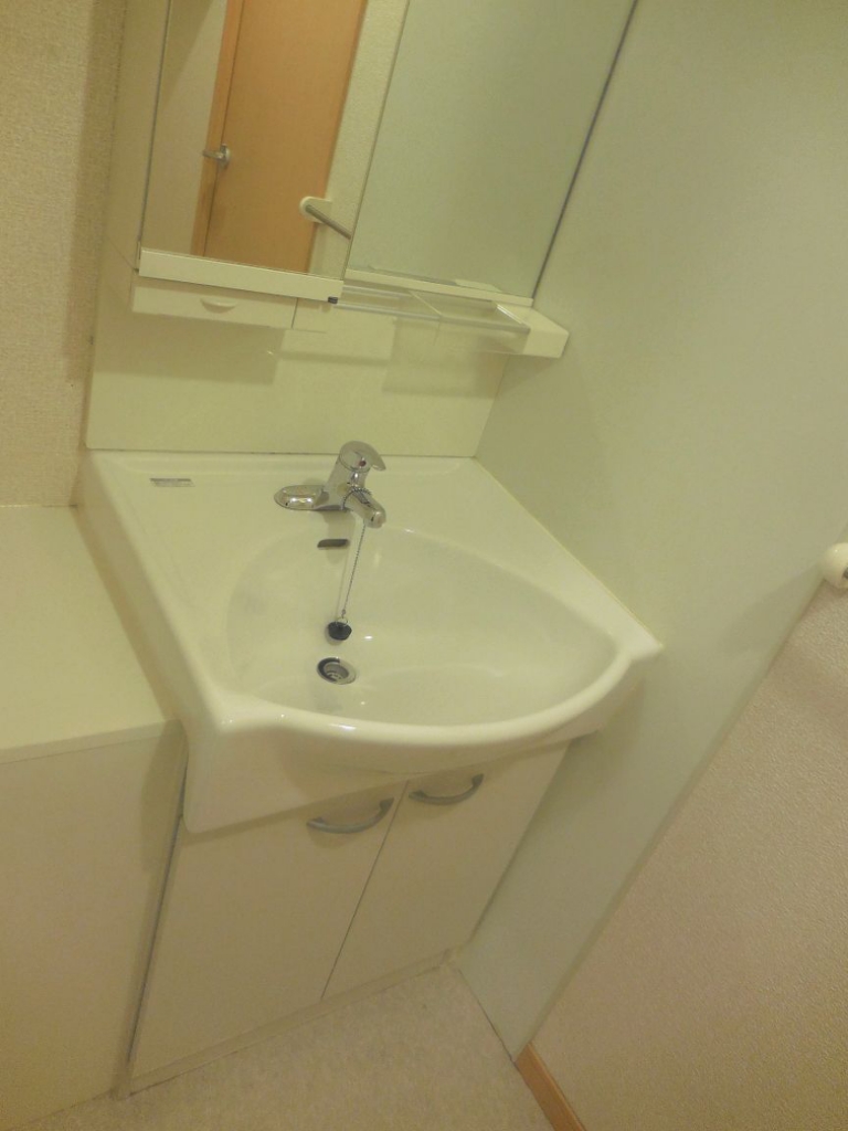 レオネクスト成宗 その他5