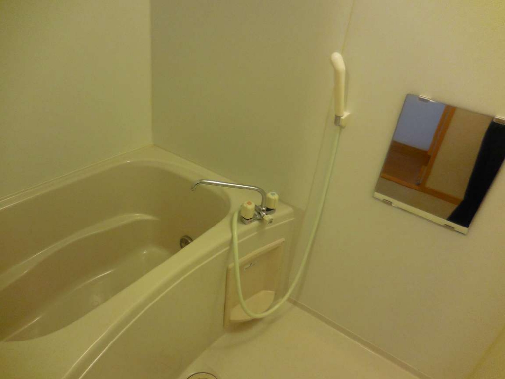 レオネクスト成宗 風呂画像