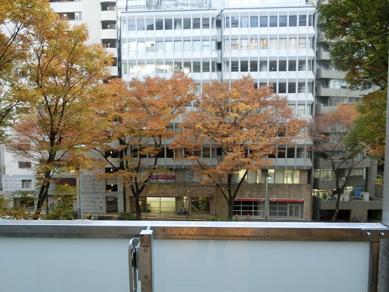 ZOOM都庁前 その他7