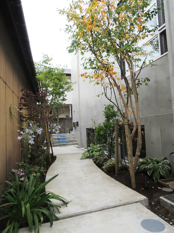 榎ハウス その他4