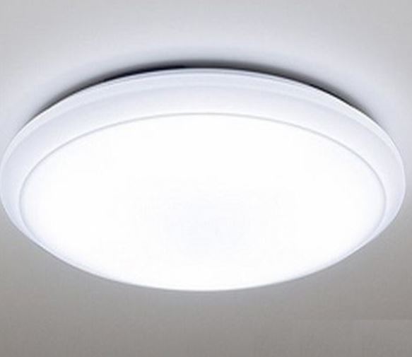 アガベ その他11