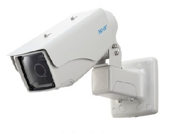 楓（かえで） その他8