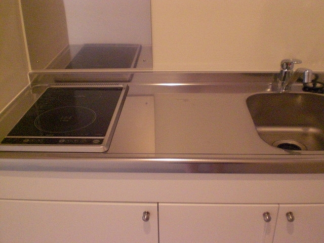 レオネクストたまき キッチン