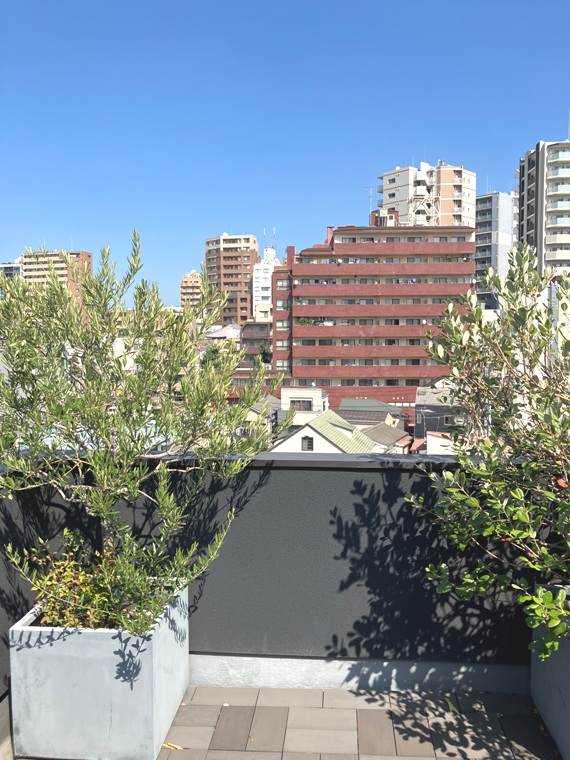 白山戸建 その他1