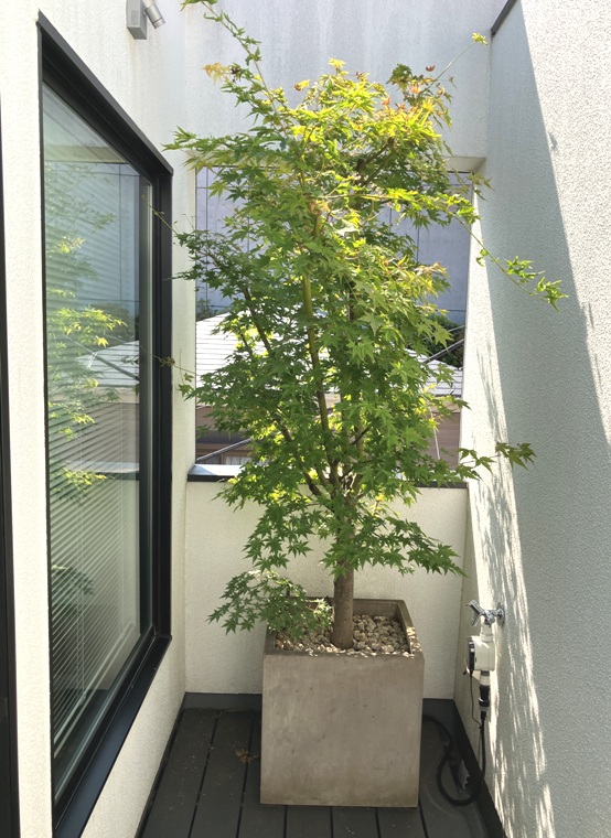 白山戸建 その他6