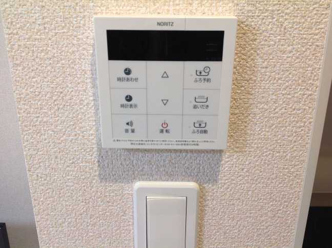 レオネクストカンフリエ その他11