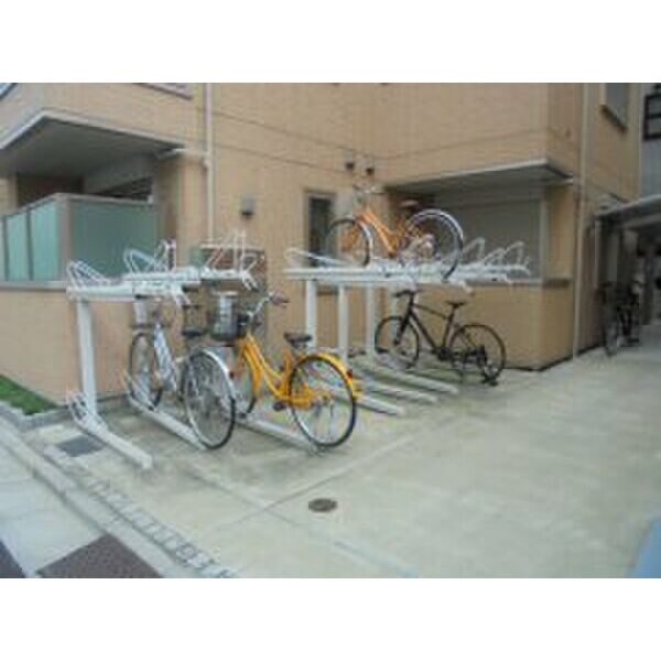 SERENA WASEDA その他5