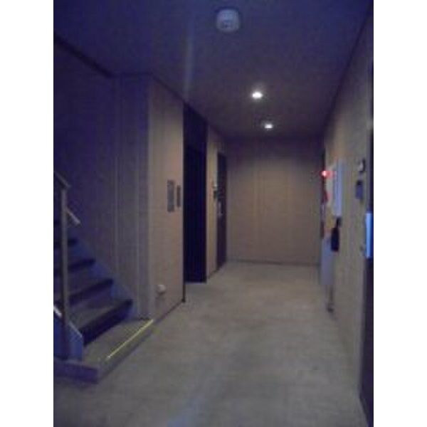 SERENA WASEDA その他9