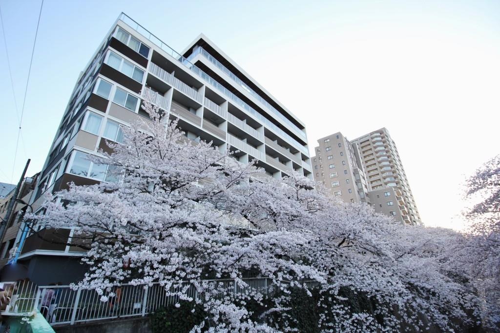 アールコート早稲田 106号室 外観