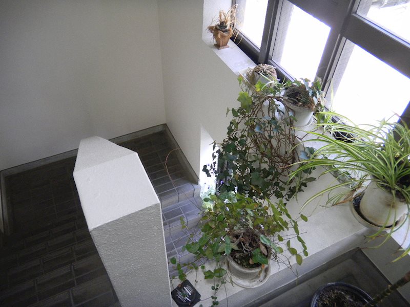 セシオン西新宿 その他外観3