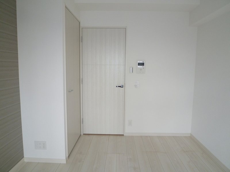 アルテシモフラン その他1