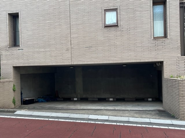 ピュアグレイス その他10