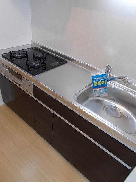 ビオレッテ山吹 その他5