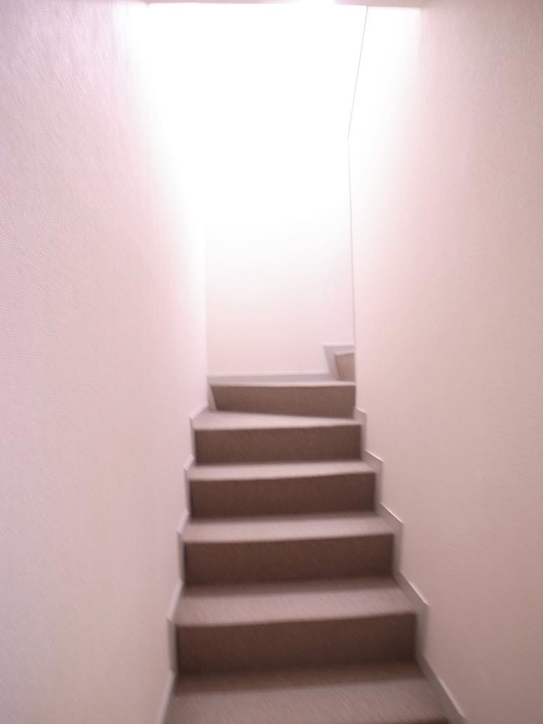 ケイコート その他4