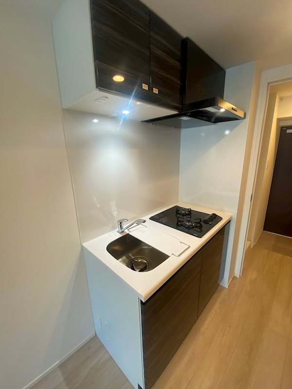 ハーモニーレジデンス大塚山手インサイド キッチン