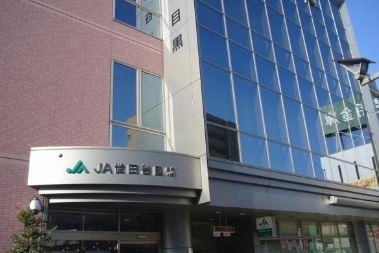 ツルマキロジ 周辺画像6