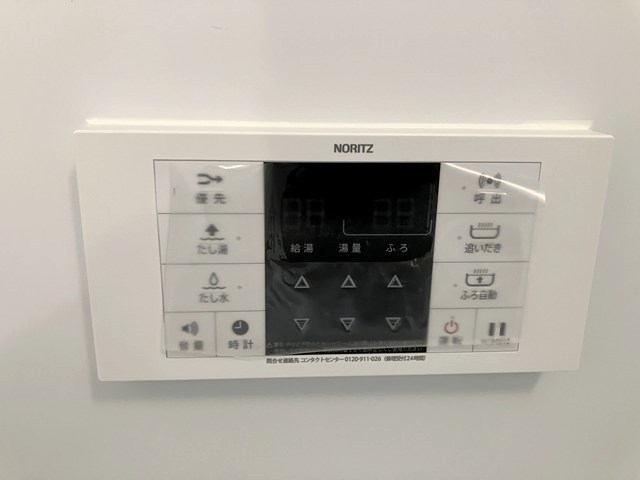 ルポ・ルアナ その他8