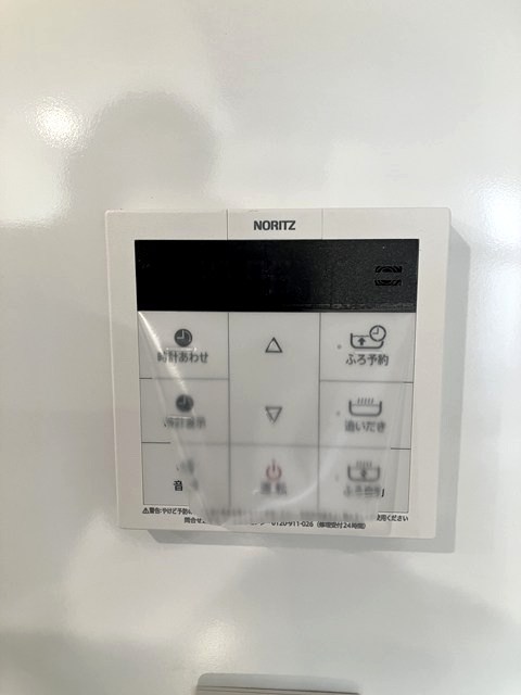 ルポ・ルアナ その他9