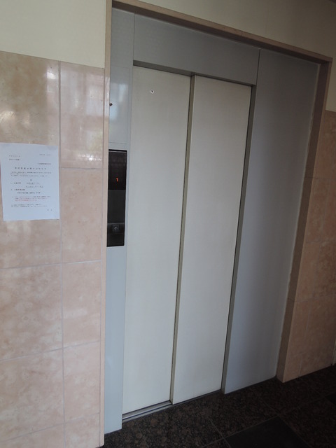 プリマベーラ その他8