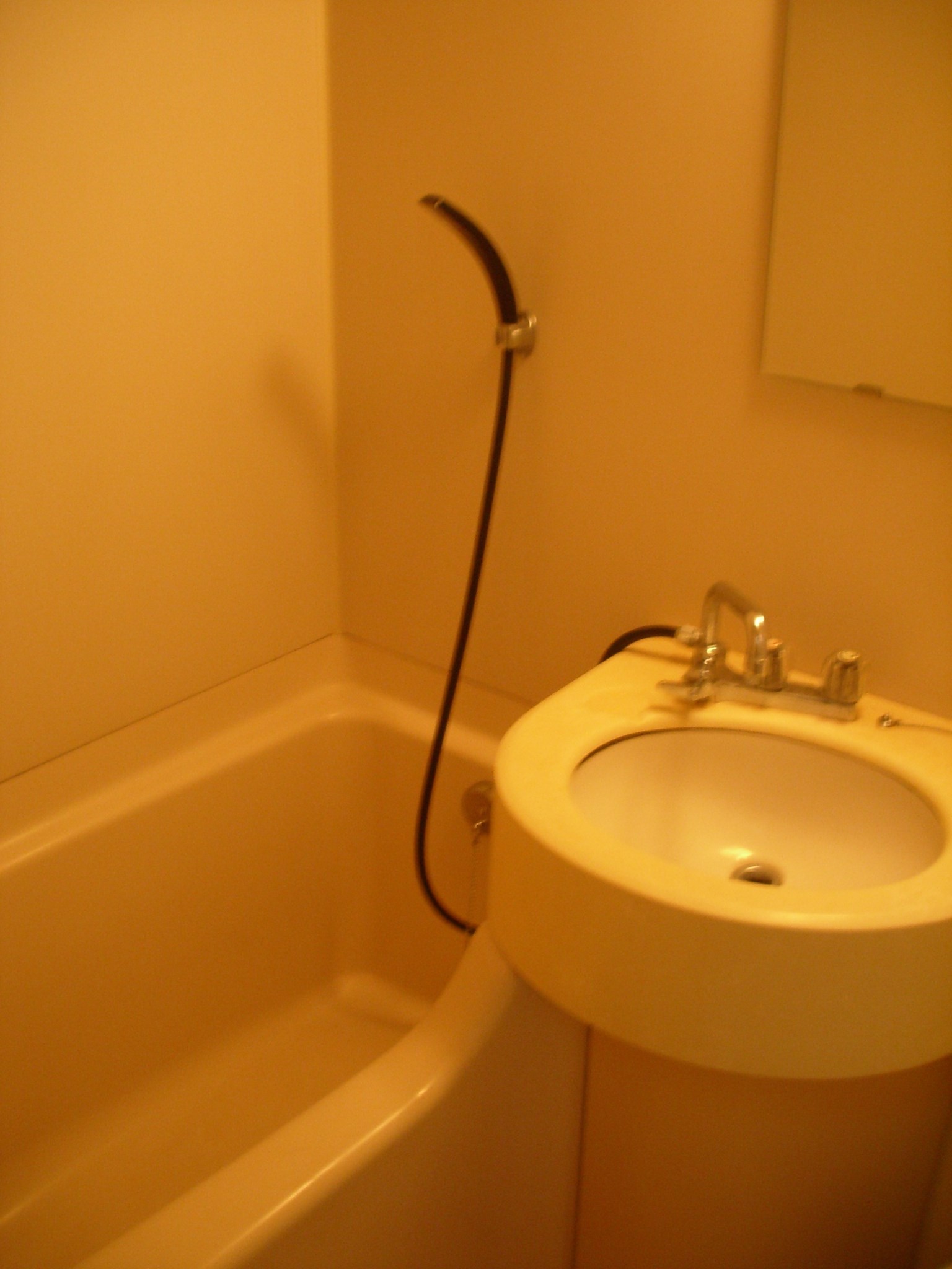 ライオンズマンション白金第2 風呂画像