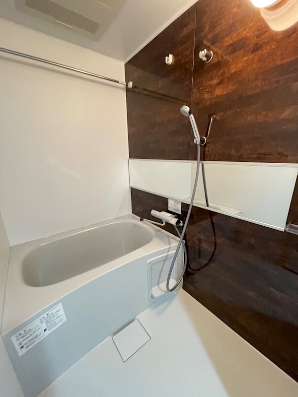 ディアレイシャス等々力 風呂画像