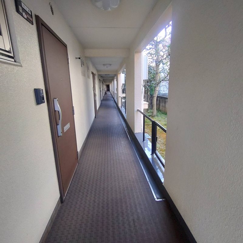 コープ野村清水町2-5  その他外観3