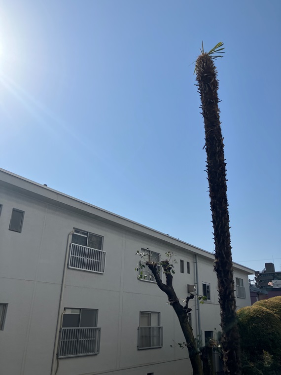 高円寺日東マンションＢ棟 その他8