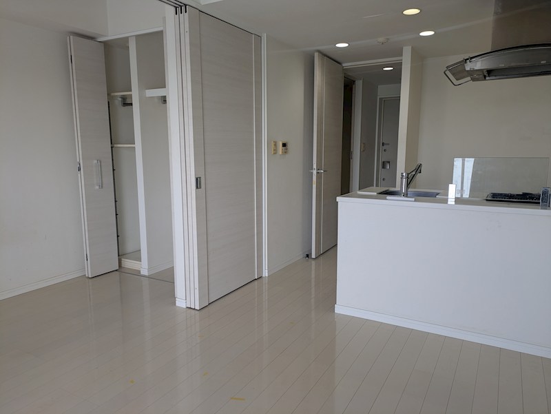 ダイナシティ高円寺Ⅱ リビング