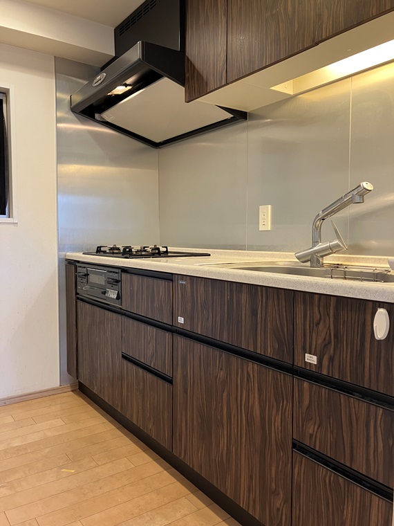 ＢＥＬＩＳＴＡ早稲田 リビング