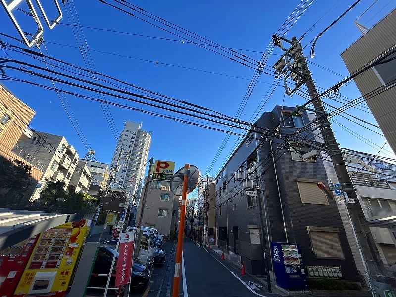 レオネクスト南新宿 その他12