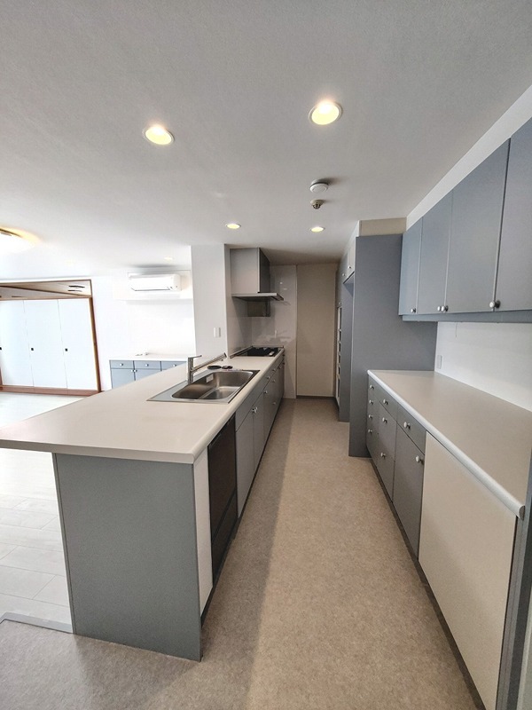 ドエル細田 キッチン