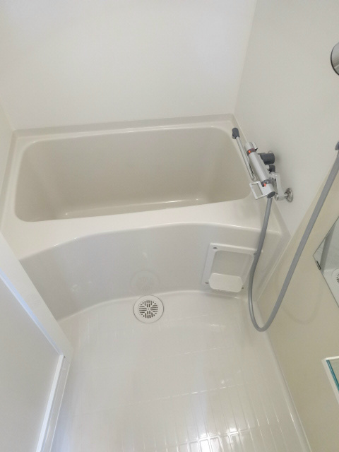 ディアレイシャス港区海岸 風呂画像