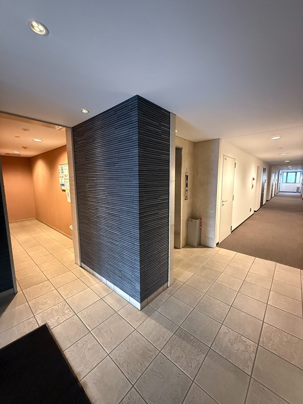 エスティメゾン新中野 その他外観3