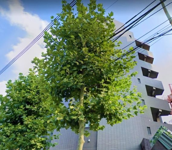 ロックハイツ 203号室 外観