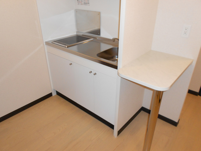 レオネクストスクルト キッチン