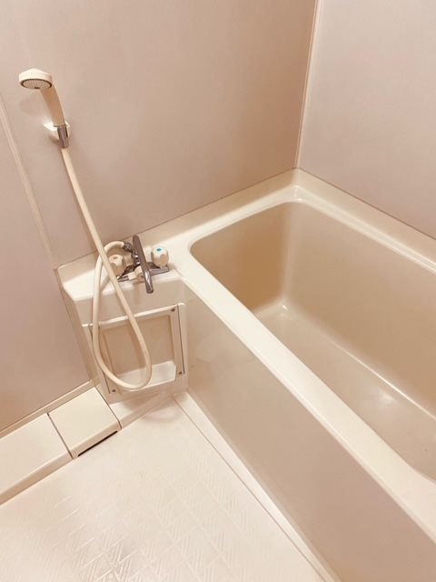 シュノンソー 風呂画像