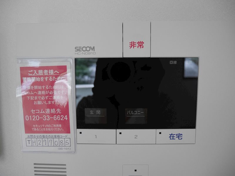 サラスヴァティー その他4