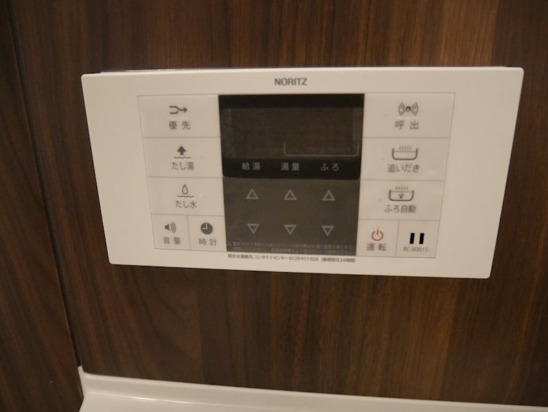サラスヴァティー その他6