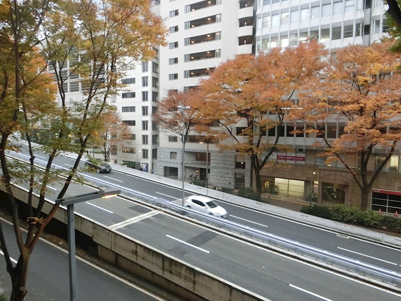 ZOOM都庁前 その他10