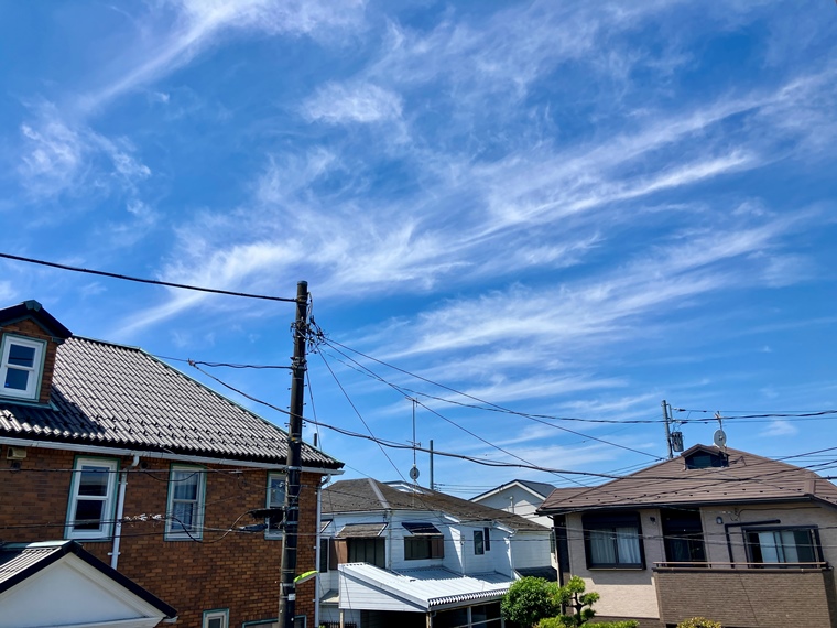 千歳台戸建 その他8
