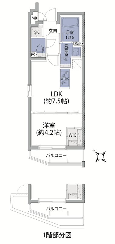 ルネサンスコート三軒茶屋 101号室 間取り